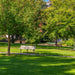 FJD FRX Robotic Lawn Mower designed for autonomous maintenance of public parks and landscaped green spaces, delivering precise, efficient mowing across open lawns, shaded areas, pathways, and recreational environments with consistent commercial-grade turf care