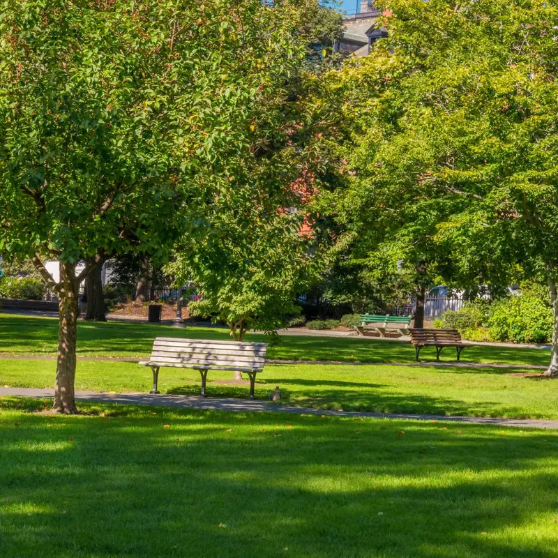 FJD FRX Robotic Lawn Mower designed for autonomous maintenance of public parks and landscaped green spaces, delivering precise, efficient mowing across open lawns, shaded areas, pathways, and recreational environments with consistent commercial-grade turf care