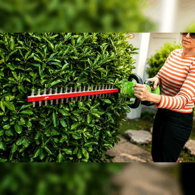 Greenworks 40V Hedge Trimmer trimming a dense garden hedge, demonstrating cordless battery-powered performance, dual-action steel blades, lightweight handling, and precise cutting for shaping shrubs, hedges, and ornamental plants in residential landscape maintenance.