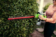 Person trimming a green hedge using the Greenworks 40V Hedge Trimmer with red cutting blade and green body. The user stands outdoors wearing a striped shirt, surrounded by lush foliage and soft natural light, highlighting real garden use of the tool.