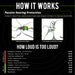 ISOtunes Free 2.0 hearing protection graphic explaining foam eartip use and noise reduction levels, showing how earbuds expand in the ear and compare sound exposure from tools, machinery, and everyday noises to support safe listening at work.
