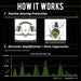 Instructional graphic explaining how ISOtunes Link Aware earmuffs work, showing passive over-ear hearing protection and electronic sound amplification that limits harmful noise to safe levels while allowing awareness of surrounding sounds in loud work environments.