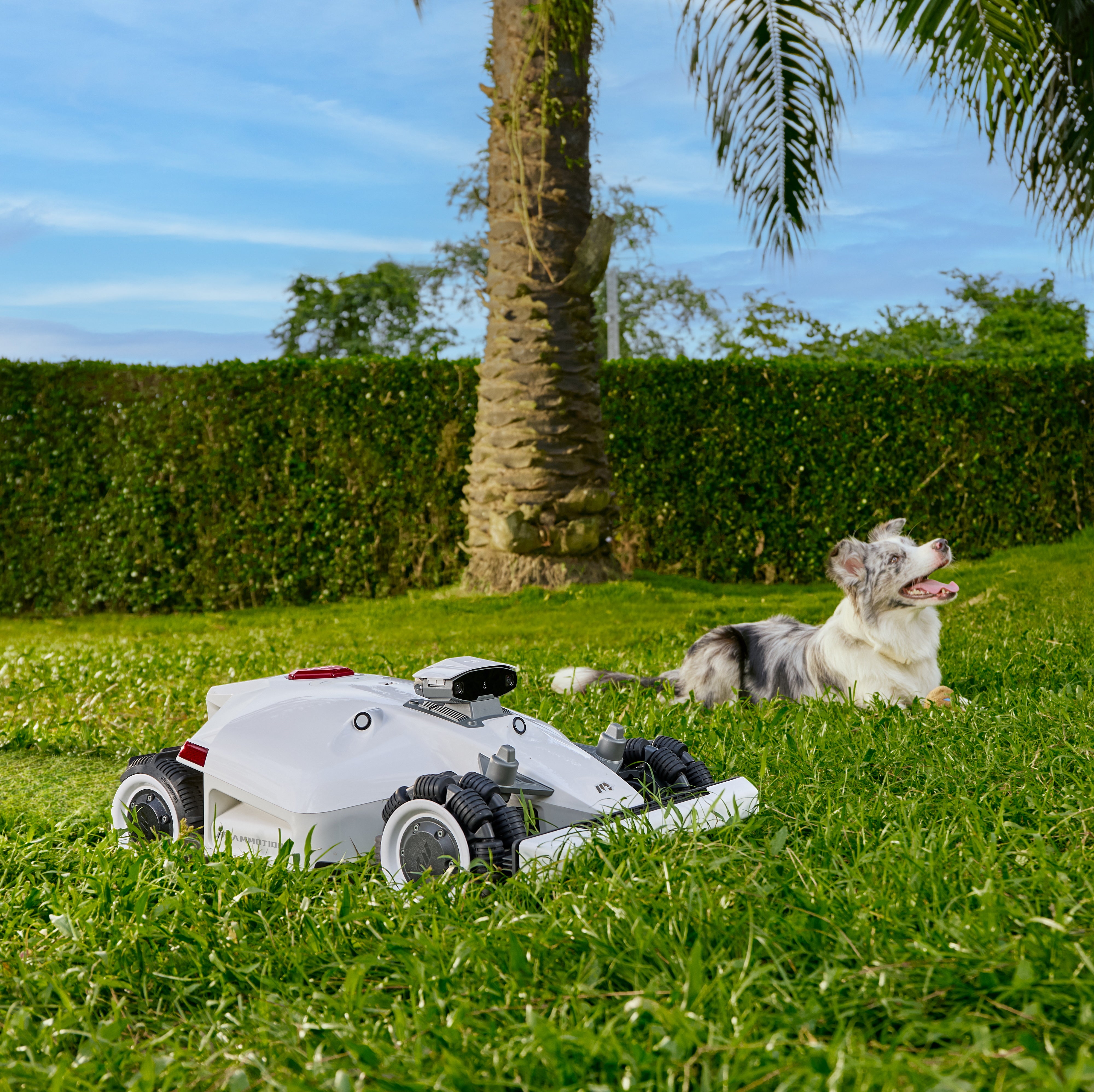 LUBA 2 AWD 1000 Perimeter Wire Free Robot Lawn Mower in use