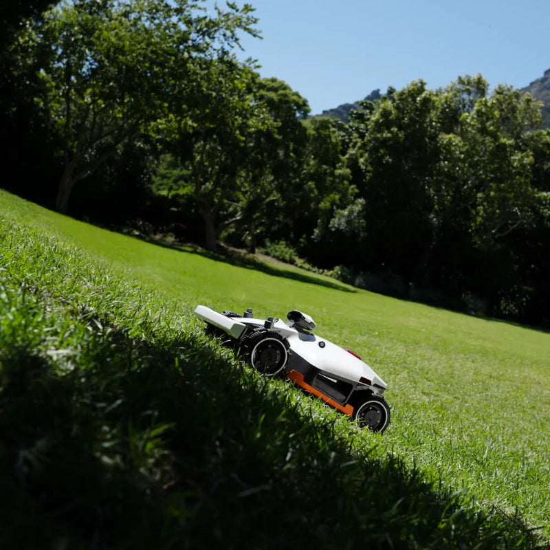 Mammotion Luba AWD X robotic mower cutting grass on a steep, sunlit slope. Surrounded by lush greenery and tall trees, the mower demonstrates its ability to handle uneven, slanted terrain while maintaining a neat, trimmed lawn.