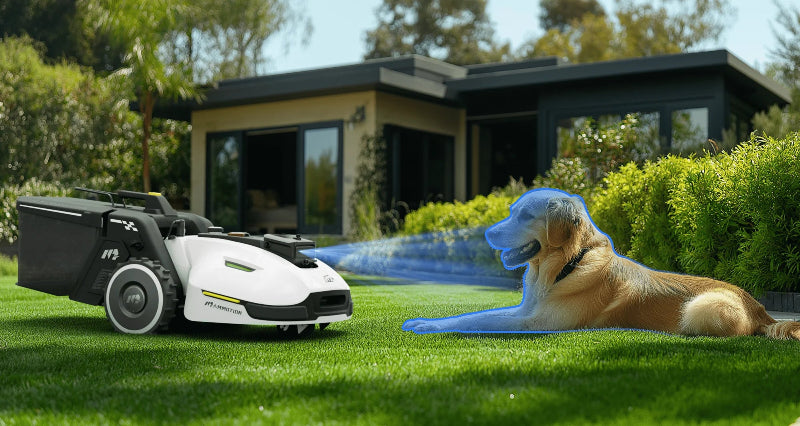 Mammotion Yuka robotic mower on a lawn using AI vision to detect and avoid a golden retriever lying in the grass, with a modern house and garden greenery in the background.